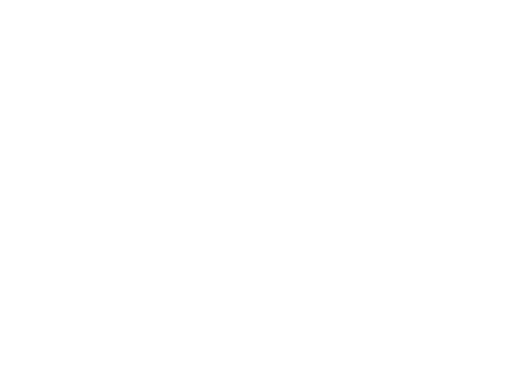 SALON SLAP